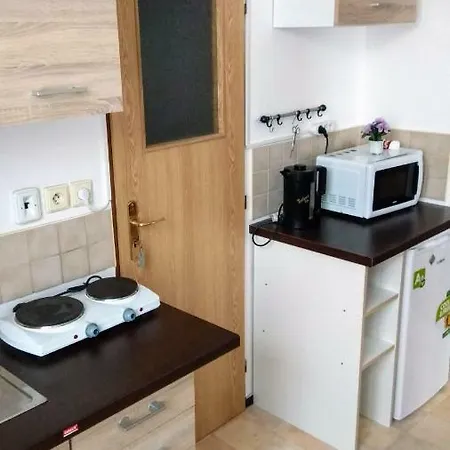 Apartment Pension Na Hranici *