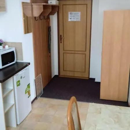 Pension Na Hranici Zelezna Ruda